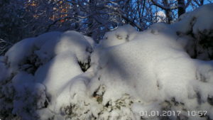 20170101_105707