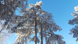 20170101_105722