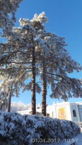 20170101_105725