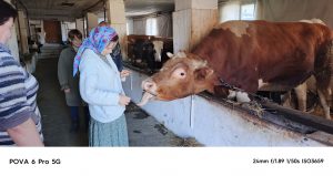 Как три семьи из Джанкойского района решили встретить Новый год в Топловском монастыре.