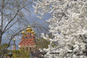 sobor