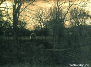 toplovskyi