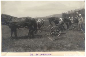 toplovskyi
