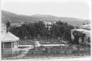 toplovskyi
