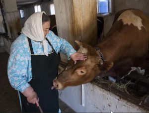 Трудом и молитвой: как монахини из Крыма помогают фронту (РИА НОВОСТИ КРЫМ)